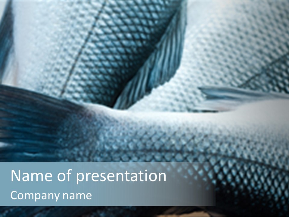 Market Omega Fishy PowerPoint Template