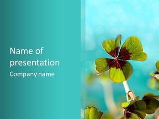Leaf Leafed Fourleaved PowerPoint Template
