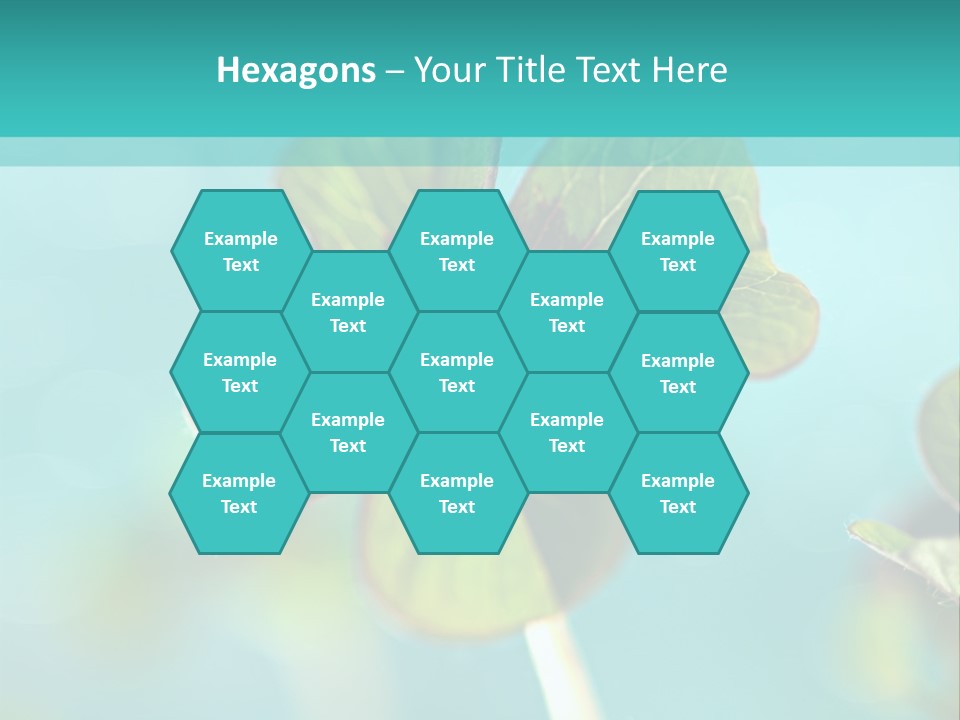 Leaf Leafed Fourleaved PowerPoint Template