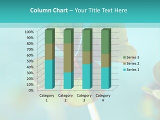 Leaf Leafed Fourleaved PowerPoint Template