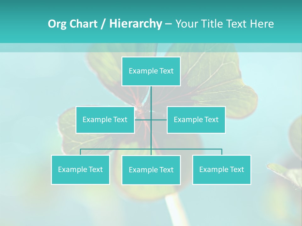Leaf Leafed Fourleaved PowerPoint Template