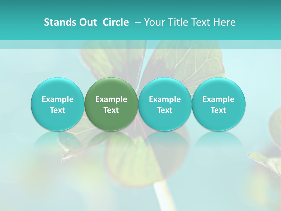 Leaf Leafed Fourleaved PowerPoint Template