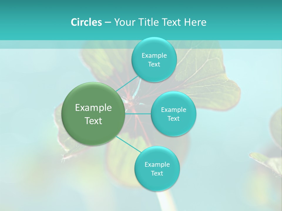Leaf Leafed Fourleaved PowerPoint Template