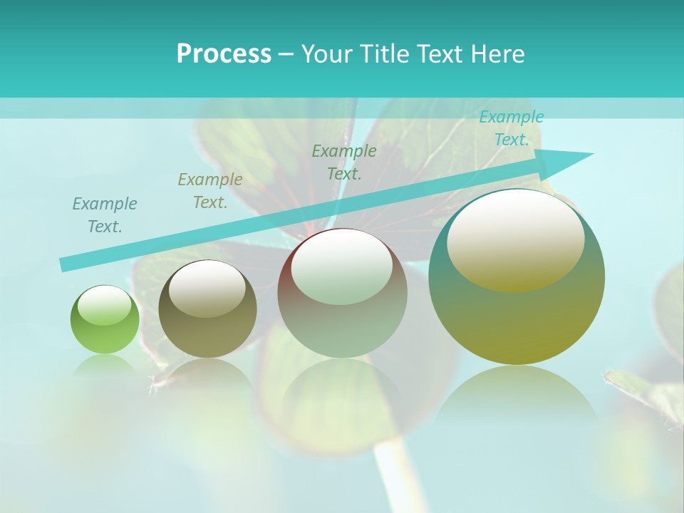 Leaf Leafed Fourleaved PowerPoint Template