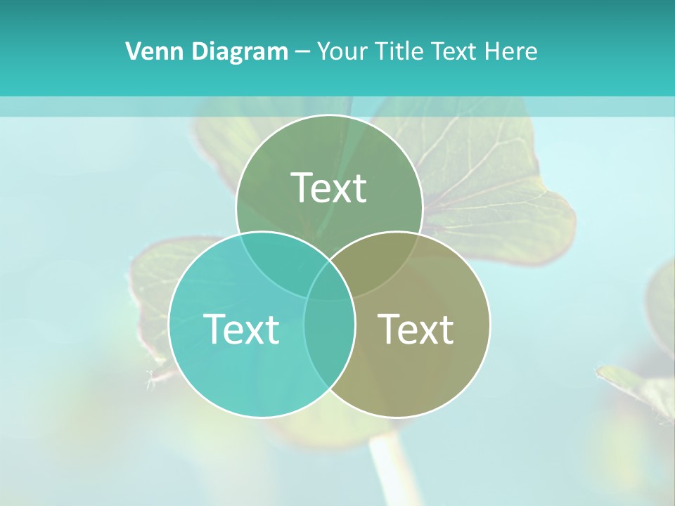 Leaf Leafed Fourleaved PowerPoint Template