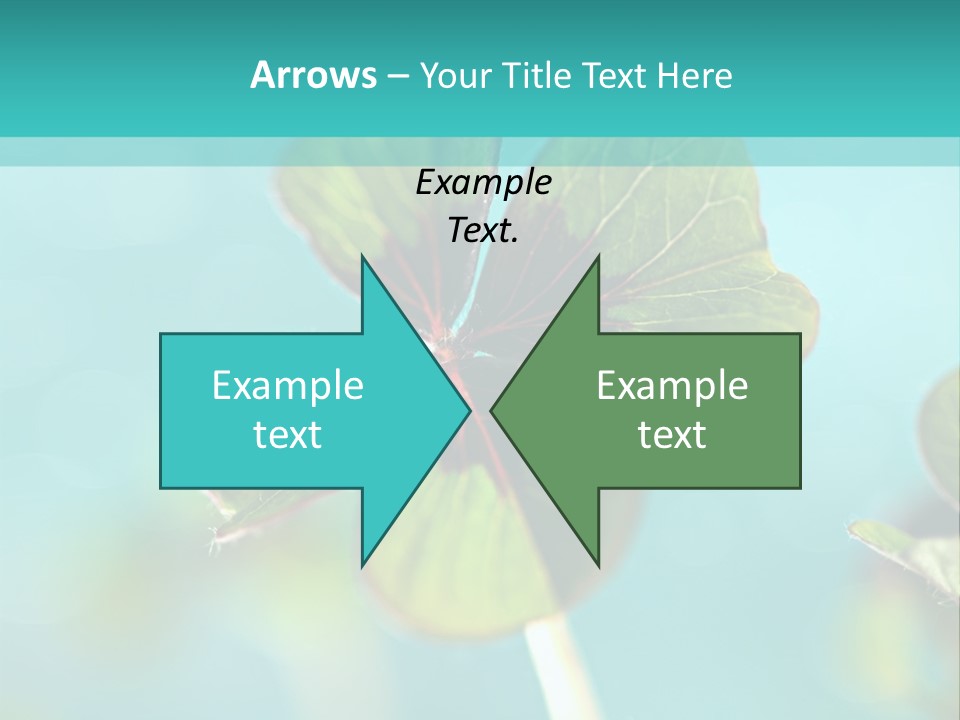 Leaf Leafed Fourleaved PowerPoint Template