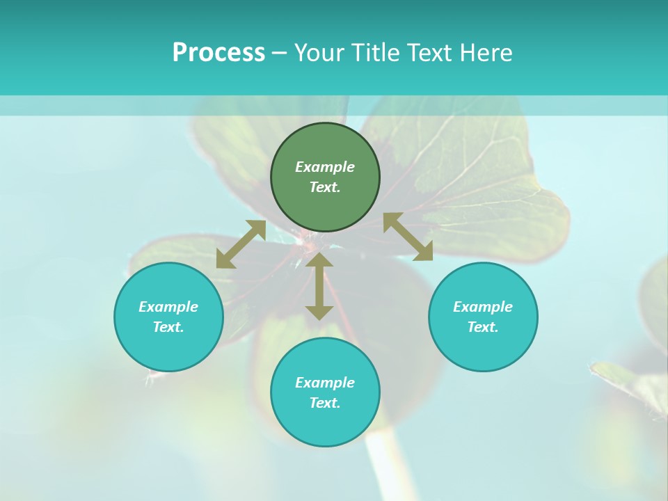 Leaf Leafed Fourleaved PowerPoint Template