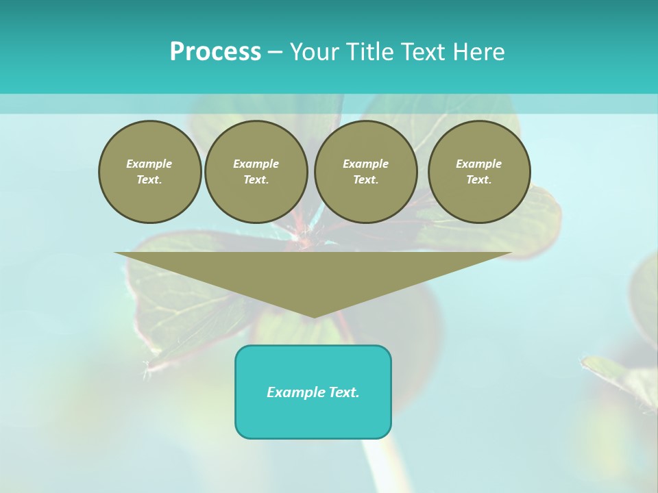 Leaf Leafed Fourleaved PowerPoint Template