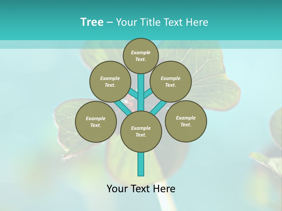 Leaf Leafed Fourleaved PowerPoint Template