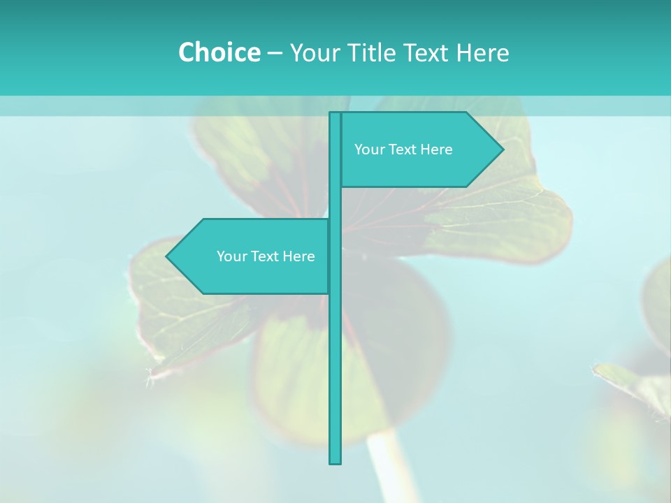 Leaf Leafed Fourleaved PowerPoint Template
