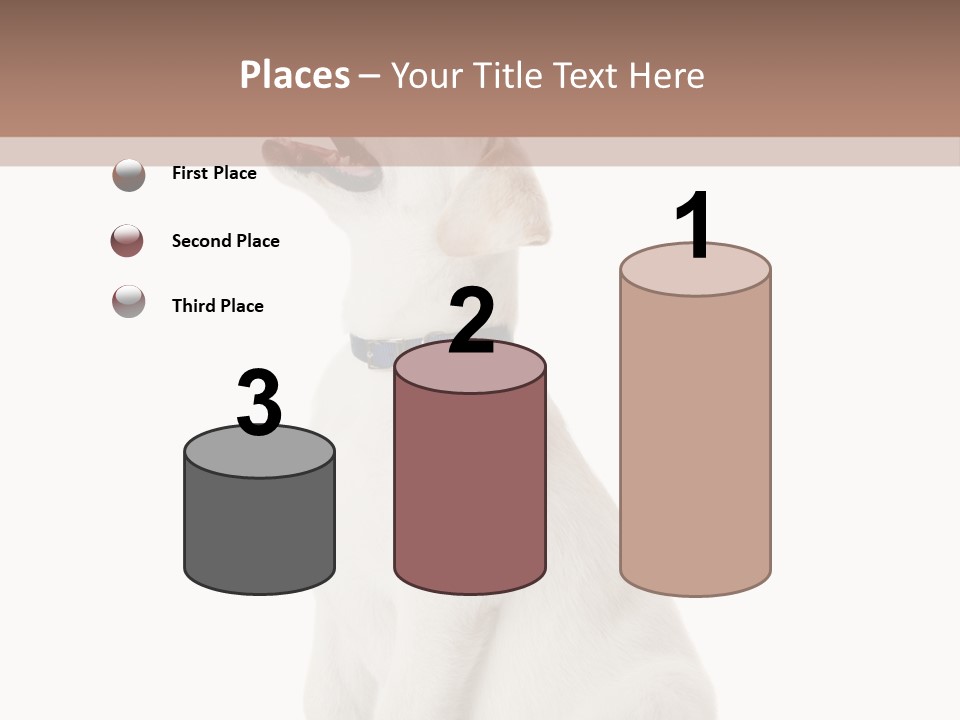 Food Hand Animal PowerPoint Template