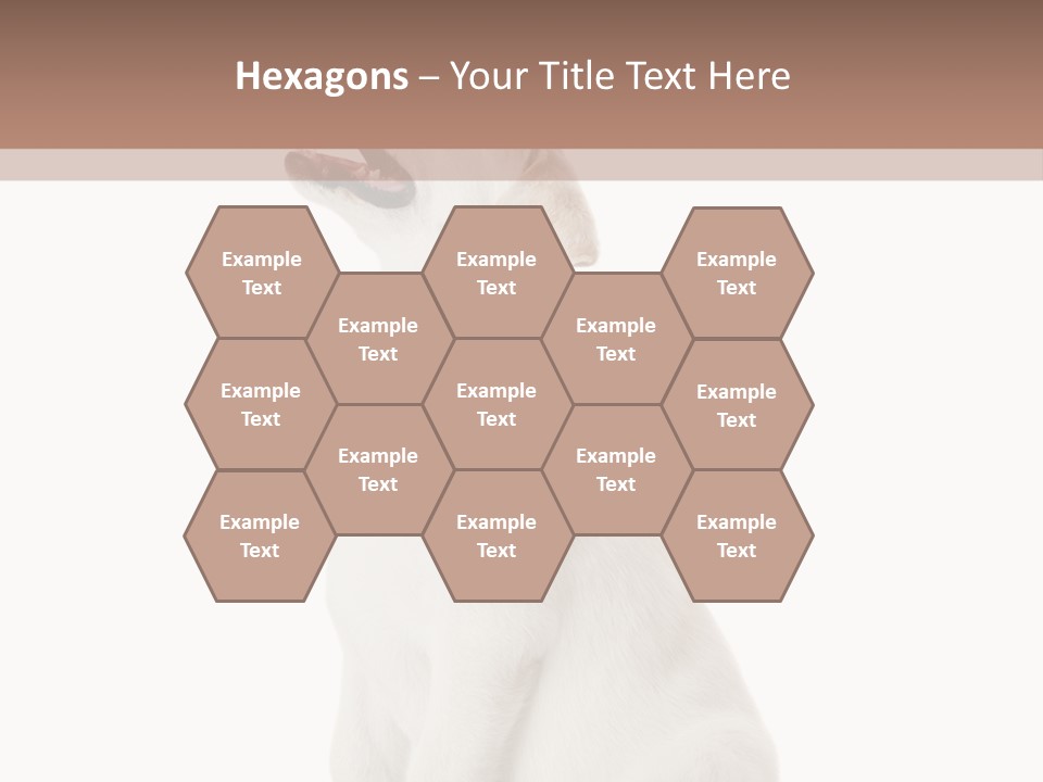 Food Hand Animal PowerPoint Template