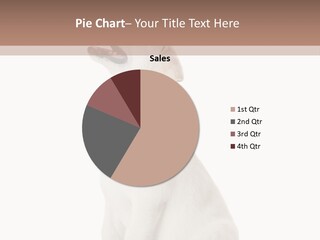 Food Hand Animal PowerPoint Template