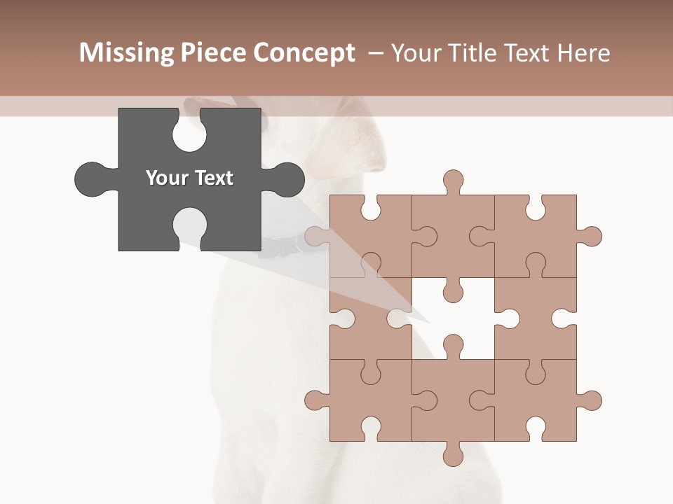 Food Hand Animal PowerPoint Template