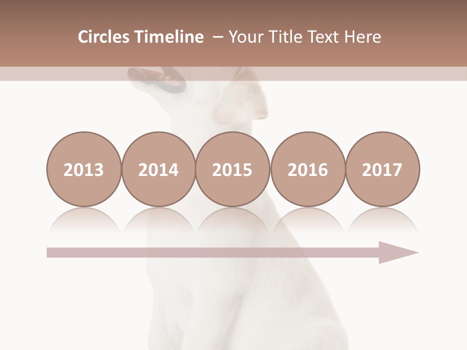 Food Hand Animal PowerPoint Template