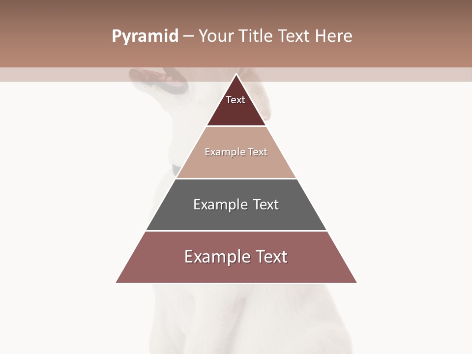 Food Hand Animal PowerPoint Template