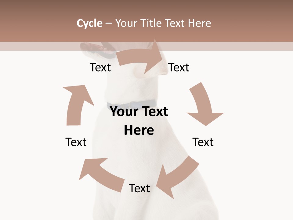 Food Hand Animal PowerPoint Template