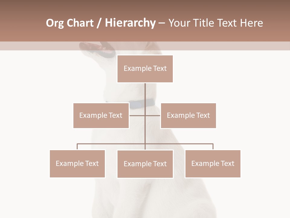 Food Hand Animal PowerPoint Template