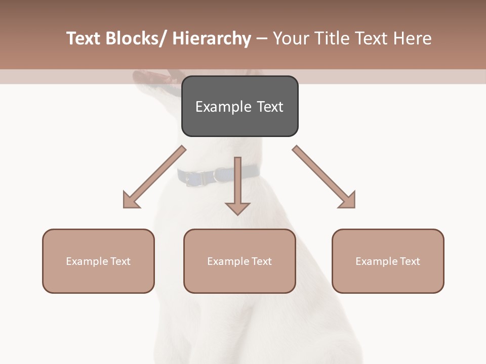 Food Hand Animal PowerPoint Template