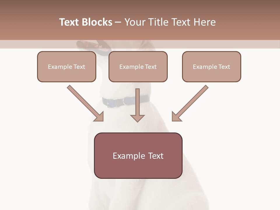 Food Hand Animal PowerPoint Template