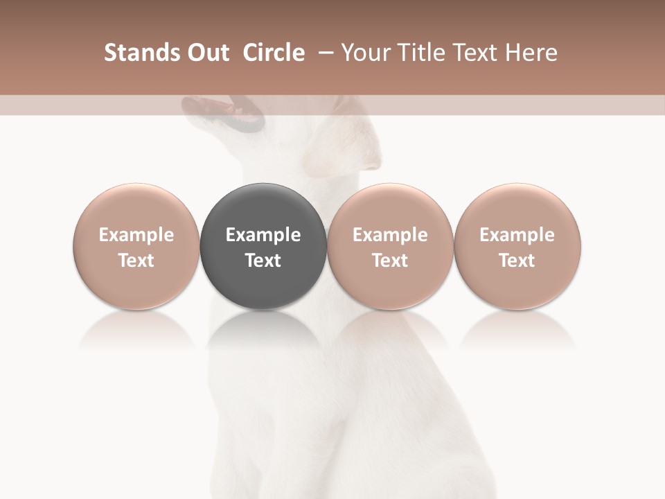 Food Hand Animal PowerPoint Template