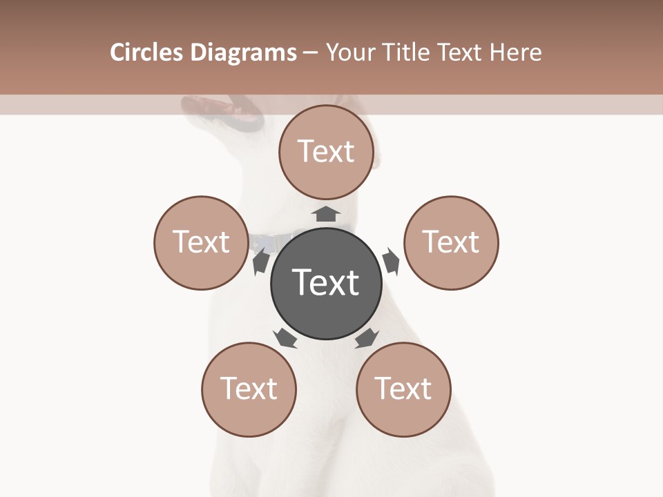 Food Hand Animal PowerPoint Template