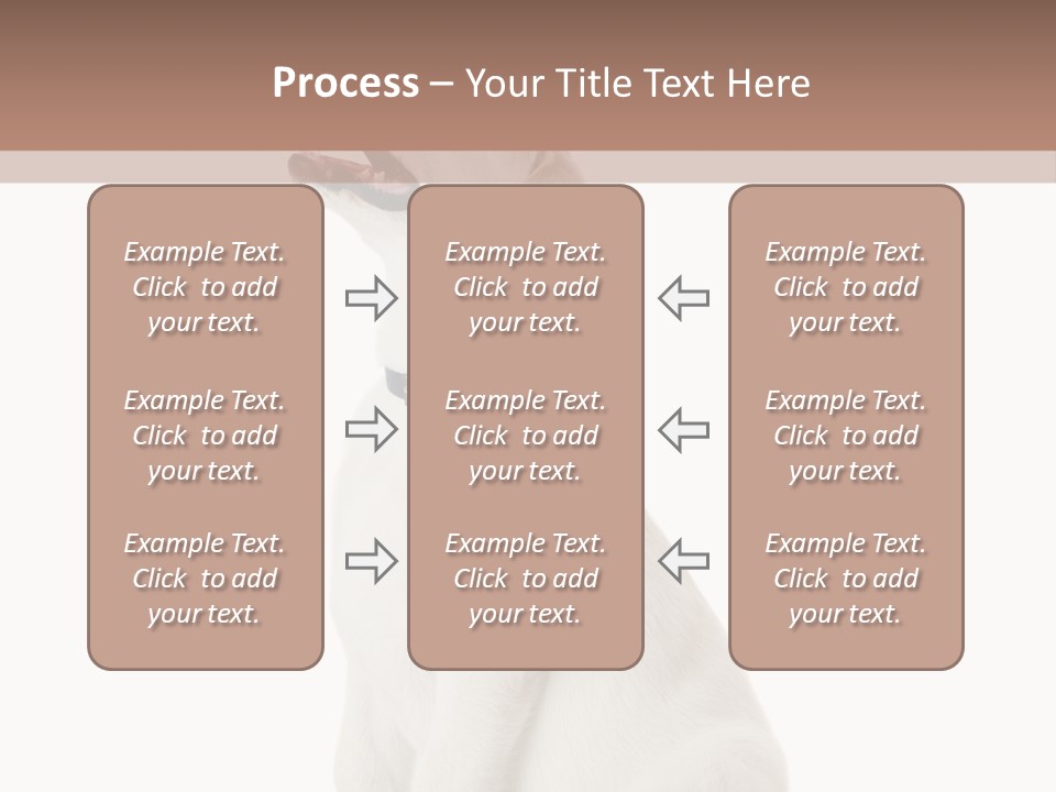 Food Hand Animal PowerPoint Template