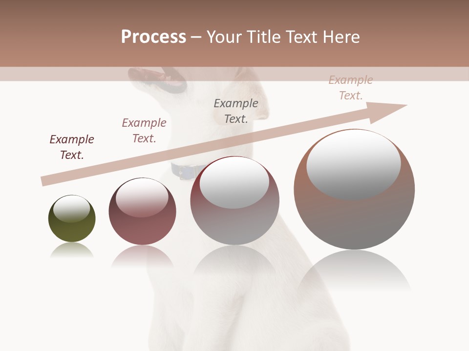 Food Hand Animal PowerPoint Template