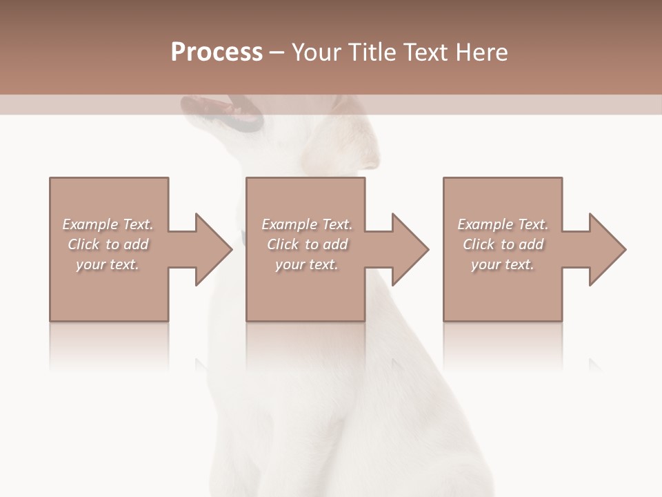 Food Hand Animal PowerPoint Template