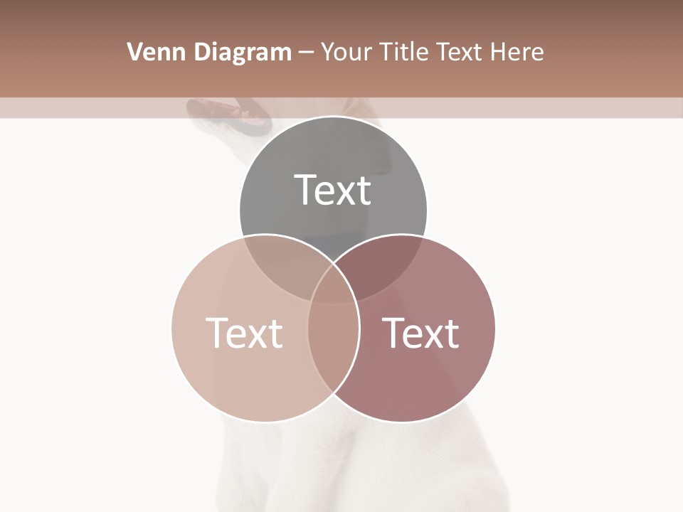 Food Hand Animal PowerPoint Template