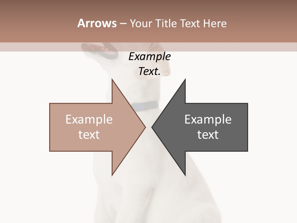 Food Hand Animal PowerPoint Template