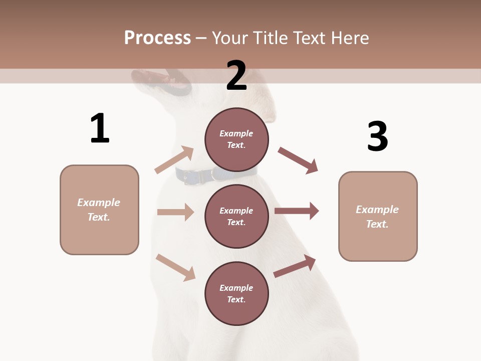 Food Hand Animal PowerPoint Template