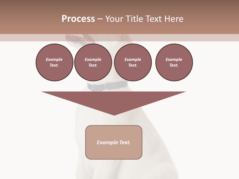 Food Hand Animal PowerPoint Template