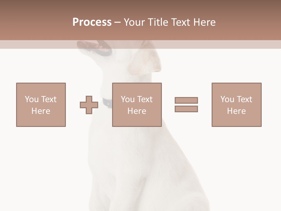 Food Hand Animal PowerPoint Template