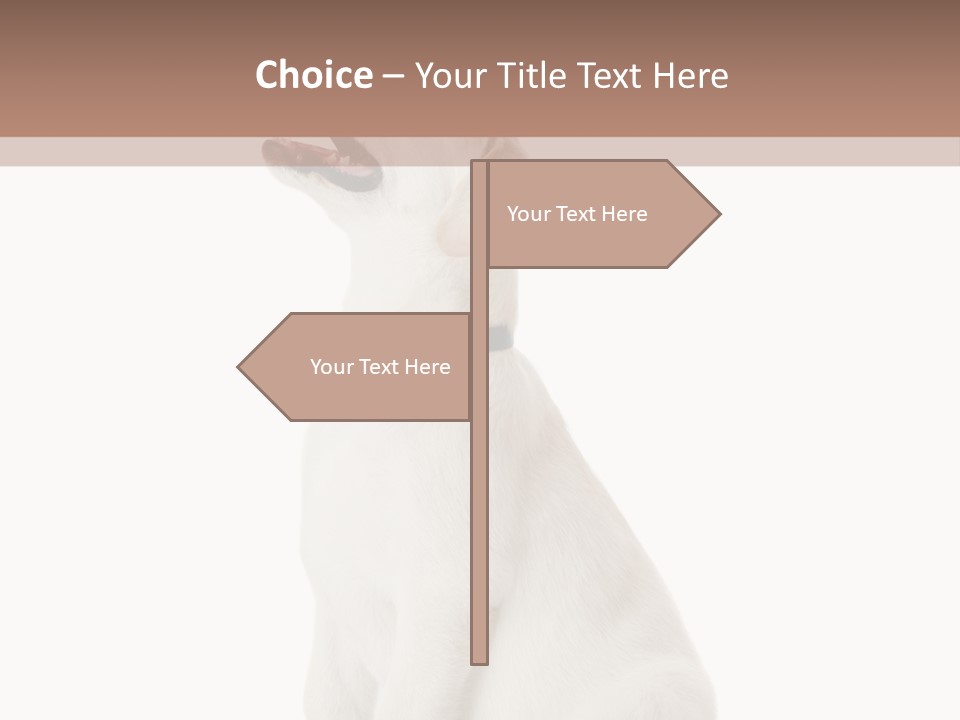 Food Hand Animal PowerPoint Template
