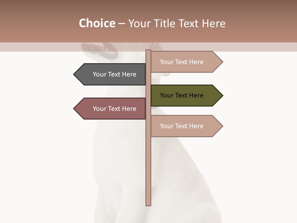 Food Hand Animal PowerPoint Template