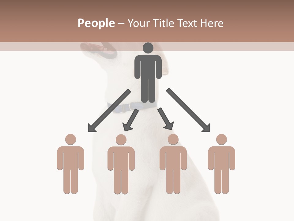 Food Hand Animal PowerPoint Template