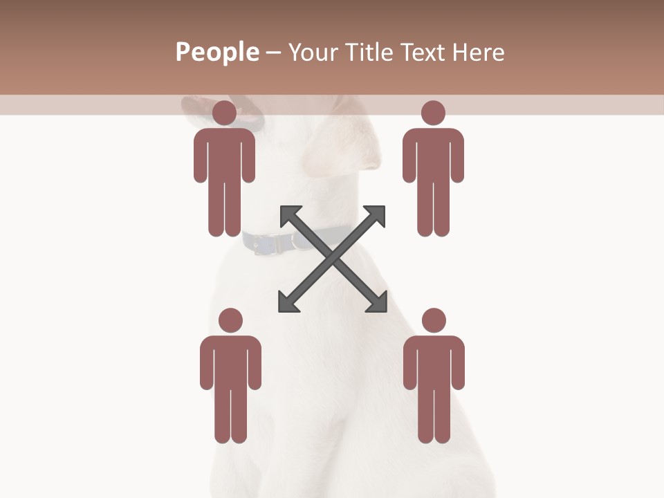 Food Hand Animal PowerPoint Template