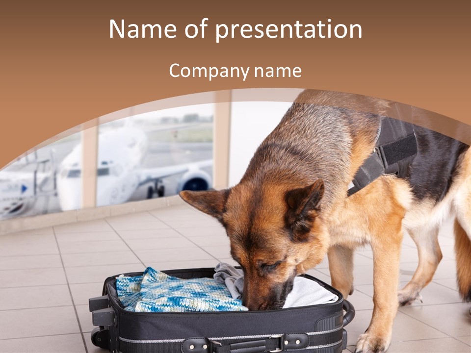 Case Bomb Sniff PowerPoint Template