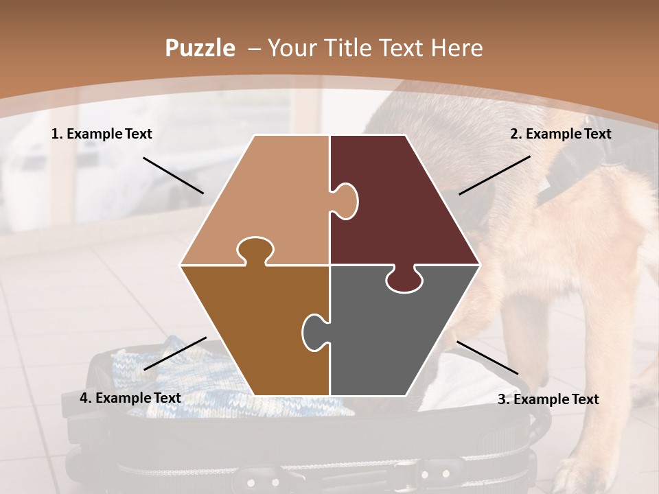 Case Bomb Sniff PowerPoint Template