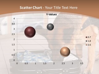 Case Bomb Sniff PowerPoint Template