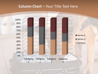 Case Bomb Sniff PowerPoint Template