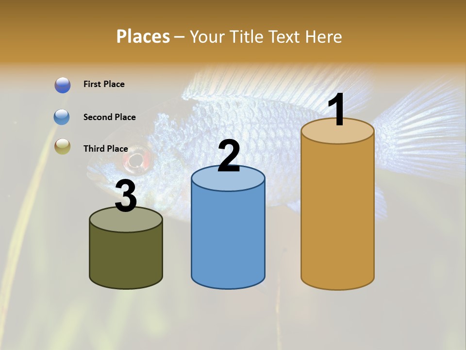 Mikrogeophagus German Fish PowerPoint Template