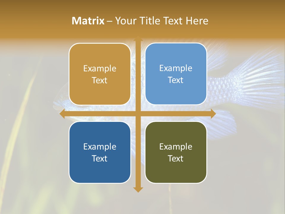 Mikrogeophagus German Fish PowerPoint Template