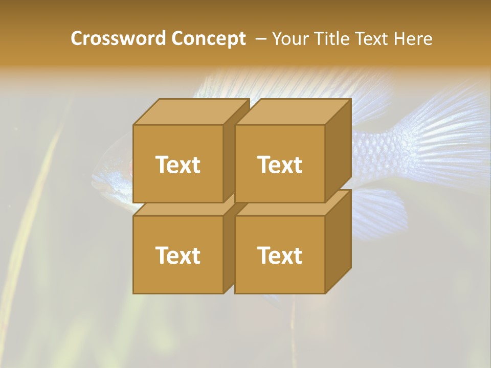 Mikrogeophagus German Fish PowerPoint Template