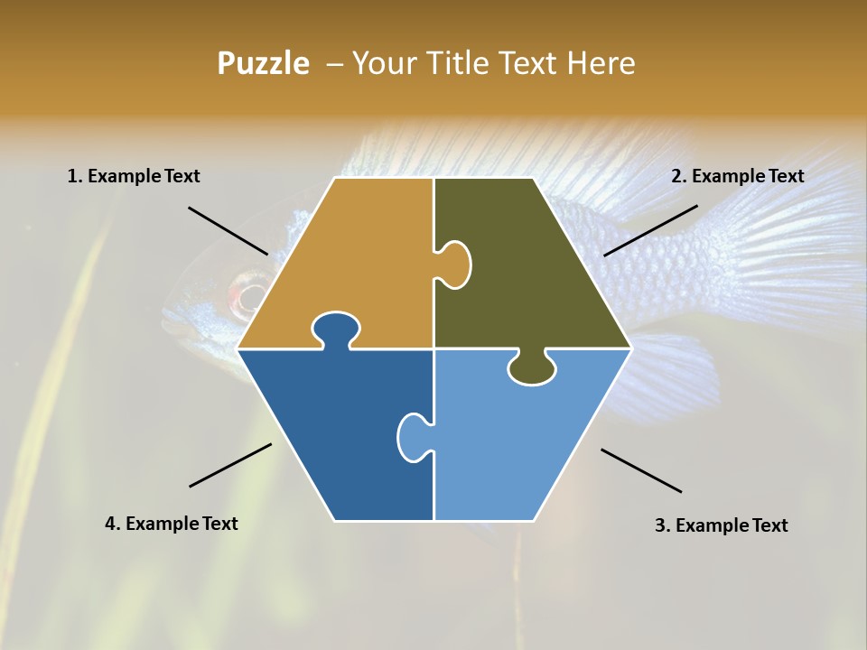 Mikrogeophagus German Fish PowerPoint Template