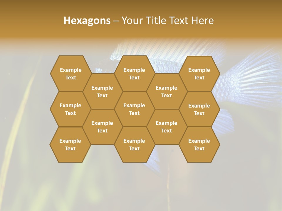 Mikrogeophagus German Fish PowerPoint Template