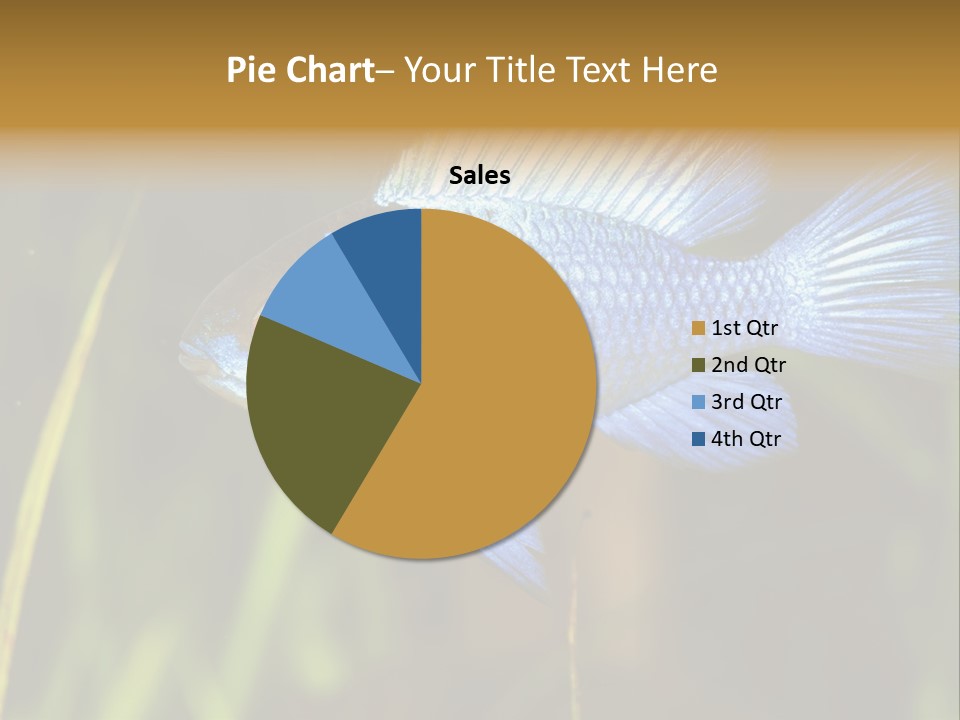 Mikrogeophagus German Fish PowerPoint Template