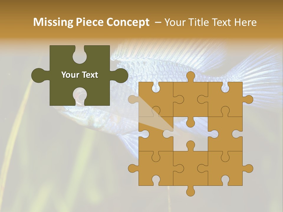 Mikrogeophagus German Fish PowerPoint Template