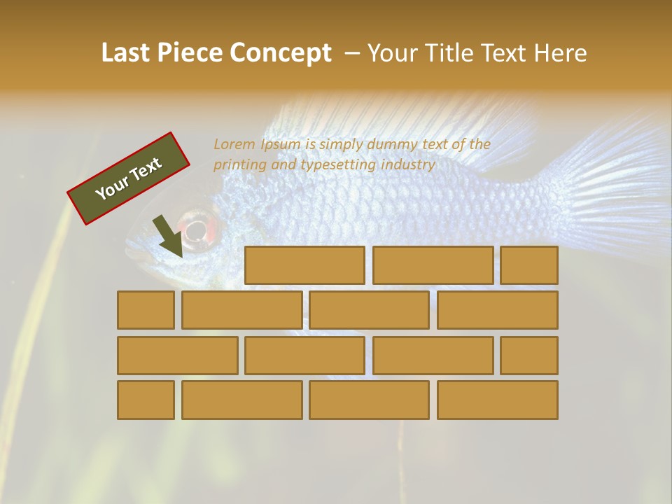 Mikrogeophagus German Fish PowerPoint Template